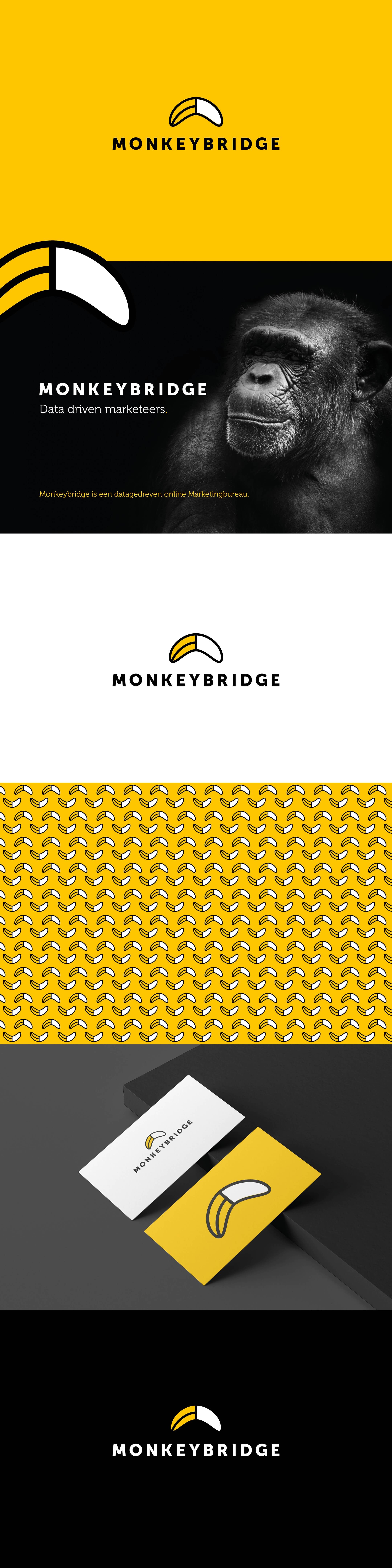 Project MonkeyBridge